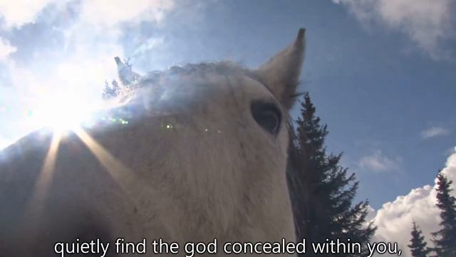 Oracle of a found shoe смотреть онлайн