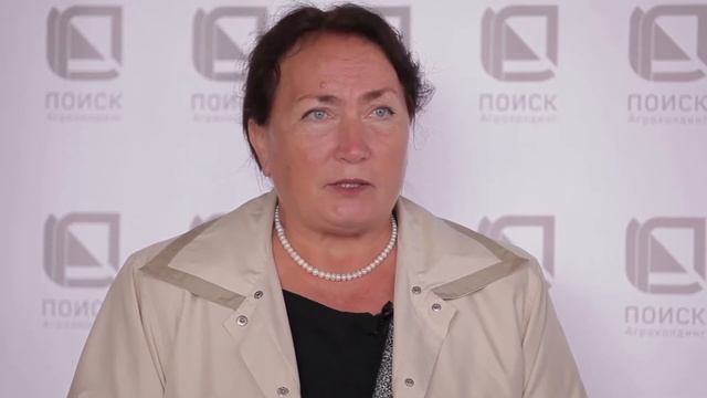 Яблони по срокам созревания: ранние, летние, зимние смотреть онлайн