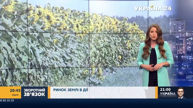 Пальне дорожчає, "яєчний" антирекорд, пільги не для всіх // ЗВОРОТНИЙ ЗВ'ЯЗОК – 4 липня смотреть онлайн