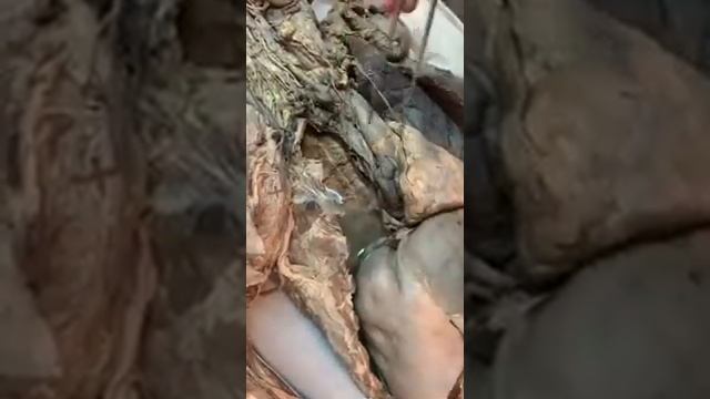 Практические навыки смотреть онлайн