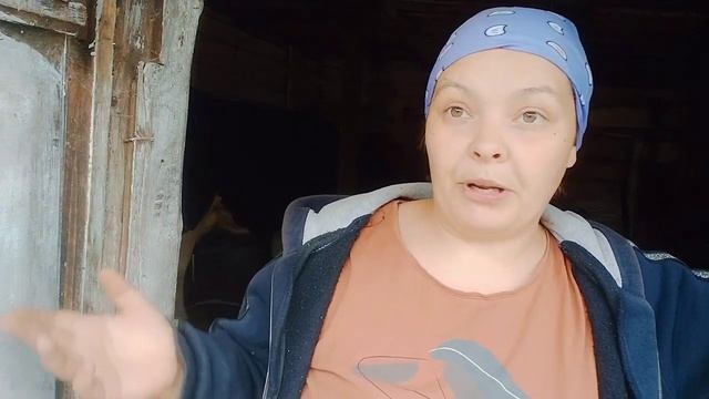 ОНИ ГОЛОДАЛИ НЕДЕЛЮ!!!// ПОГОДА БЛАГОВОЛИТ УДОЮ! смотреть онлайн