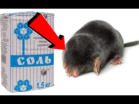 ПОЛЕЗНЫЕ СОВЕТЫ