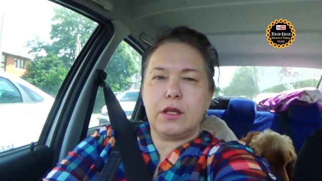 В больничку с Ричиком. Пироплазмоз у собаки от укуса клеща. Бабезиоз. Ветеринарная клиника. смотреть онлайн