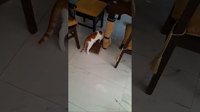 игра с топтикам смотреть онлайн