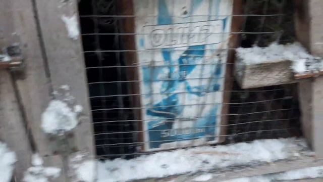 Кролики//Крольчата растут, пришла снежная зима//14 декабря 2022 год смотреть онлайн