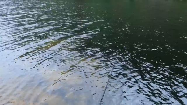 186. На пути домой, остановился порыбачить. смотреть онлайн