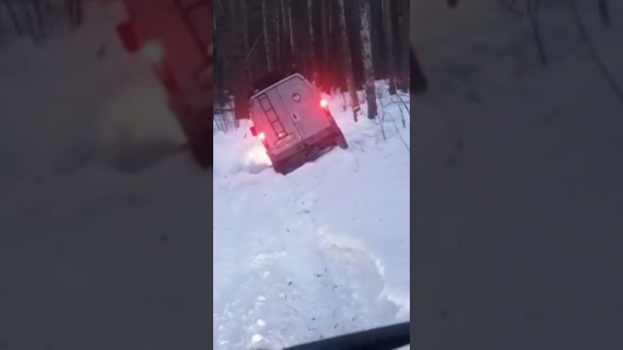 "Соболь высокий и неустойчивый" - говорили они смотреть онлайн