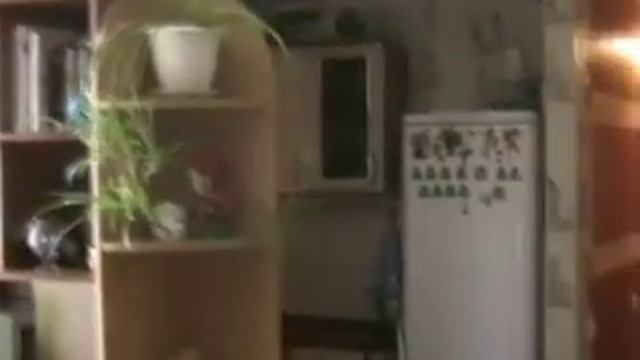 Ново-Садовая 323.mpg смотреть онлайн