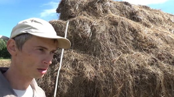 Сенокос 2019//Наш опыт по хранению сена в рулонах на улице.