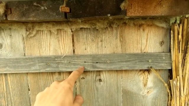 Обзор колод для пчел различных конструкций смотреть онлайн