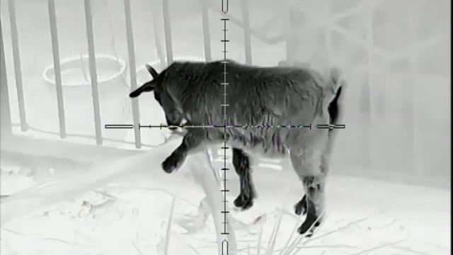 NNPO Thermal riflescope смотреть онлайн