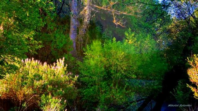 Живая природа. смотреть онлайн