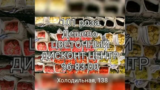 Цветы Зайково в Тюмени, склад цветов на Холодильной, 138, тел 96-83-00 смотреть онлайн