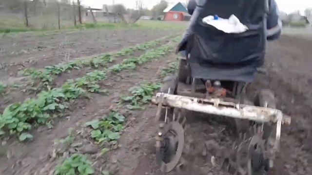 Нагоняю рядки ежами! Отлично!? смотреть онлайн