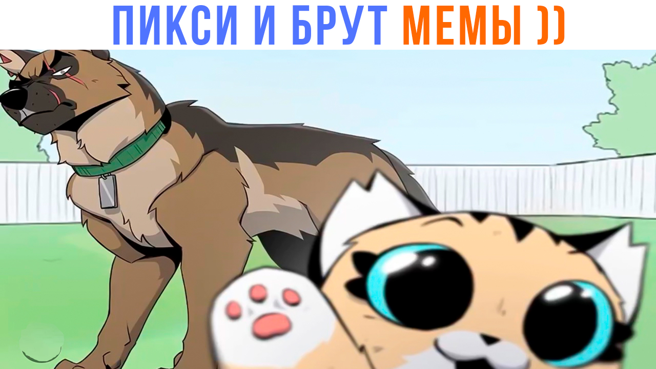 ПИКСИ И БРУТ МЕМЫ ))) | Приколы | Мемозг 1384 смотреть онлайн