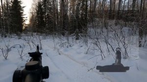 Межсезонье. Охота на копытных. Загонная охота на лося, часть 3.