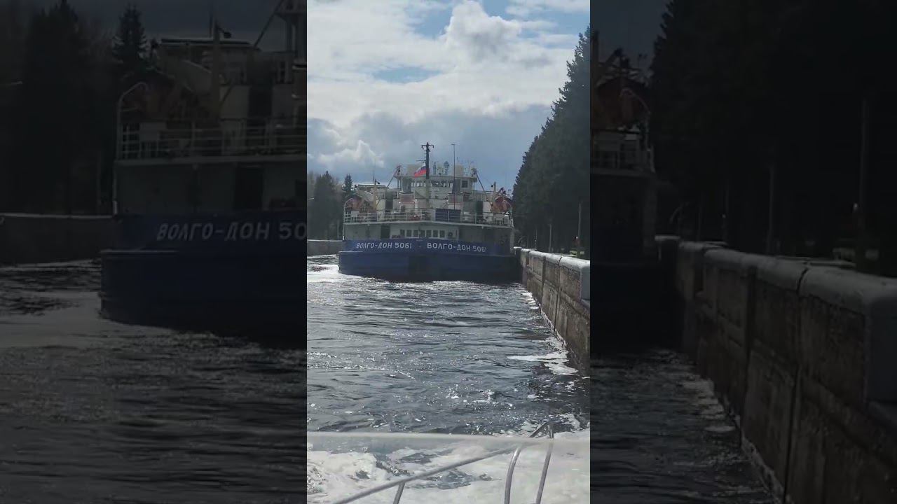 ассы пресноводных водоемов смотреть онлайн