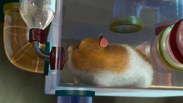 "Вольт" - Дублированный трейлер смотреть онлайн