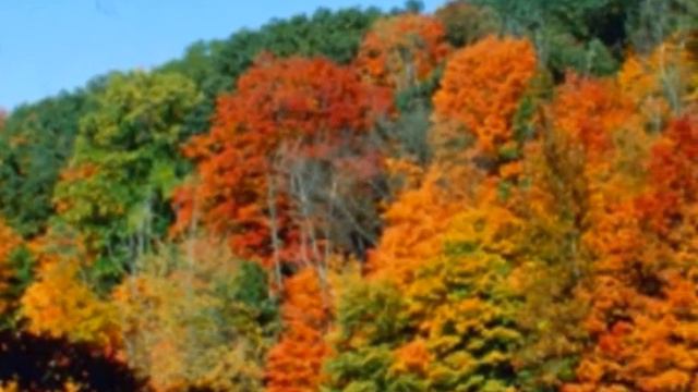 С днем рождения.wmv смотреть онлайн