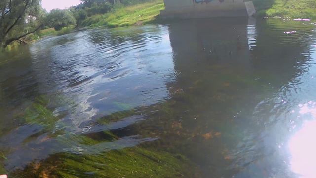 лайт Август ! смотреть онлайн