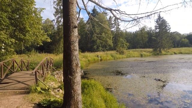 Велопоход вокруг Селигера. 100 км за день. Маршрут завел в болото. #1 смотреть онлайн