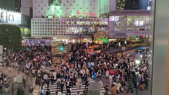 Shibuya Crossing, Tokyo April 10, 2020 смотреть онлайн