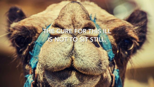 How the Camel Got His Hump from the Just So Stories by Rudyard Kipling смотреть онлайн
