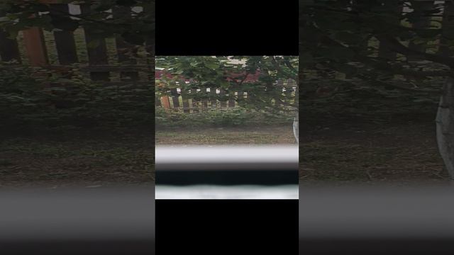 🥰 смотреть онлайн