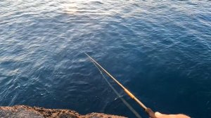 ?Ленивый Дроп-шот. Девять Часов Ночной Морской Рыбалки, На Черном Море Результат Ошеломил.