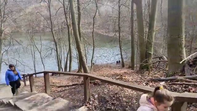 КВЕСТ И СЕМЕЙНАЯ ПРОГУЛКА В ЛЕСУ ЩЕЦИНА. ZABAWA "SZUKAM KUBEK". АКТИВНЫЙ ОТДЫХ В ПОЛЬШЕ #FamilyMink смотреть онлайн