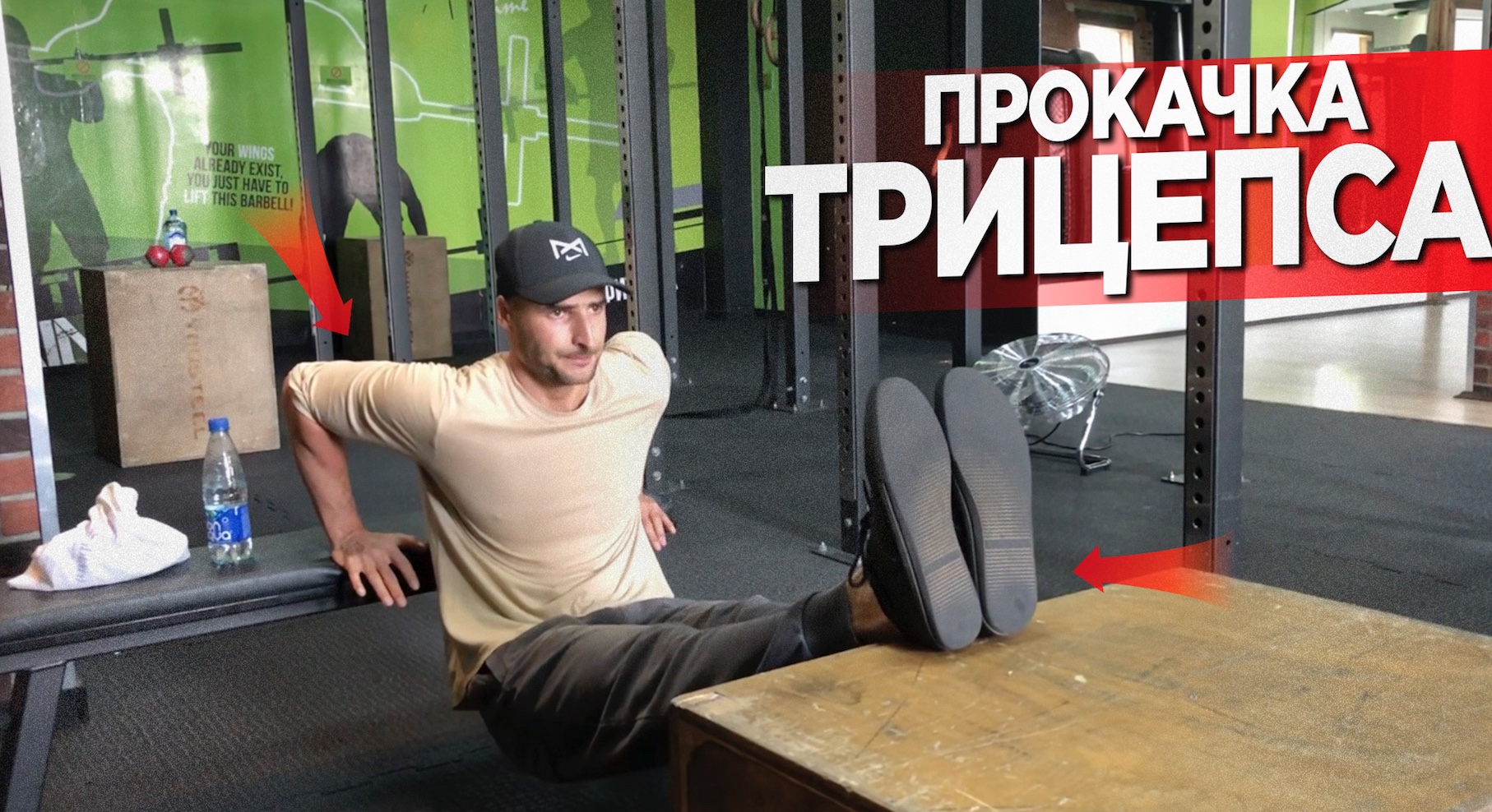 Брутальная прокачка трицепса с собственным весом и гантелями смотреть онлайн