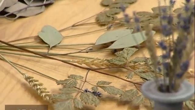 Раз иголка, два иголка: Создаем интерьер из природных материалов смотреть онлайн