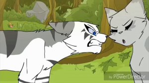 клип коты воители Dark Side