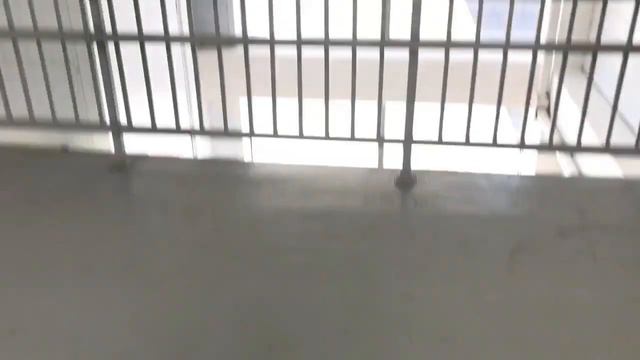 ВЛОГ | учёба ,летние дни у бабушки, отдых смотреть онлайн