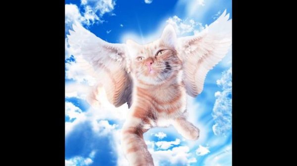 6 Песен Симбочки... (Превью взял тут 👉 @simb)