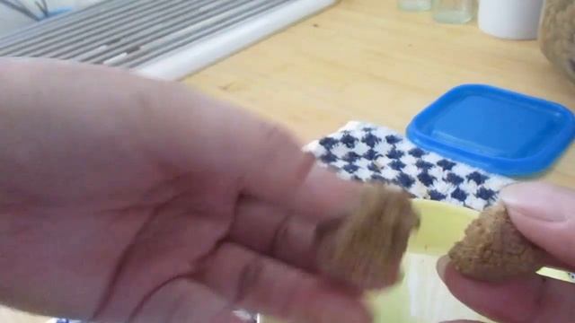 猫だんごをミニミニおにぎりに。 смотреть онлайн