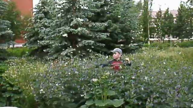 Детский сад №15 г. Янаул смотреть онлайн