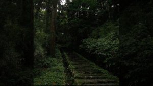 Умар Сильдинский очень красивое чтение корана