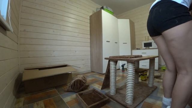 Сама собираю игровой комплекс для кошек смотреть онлайн