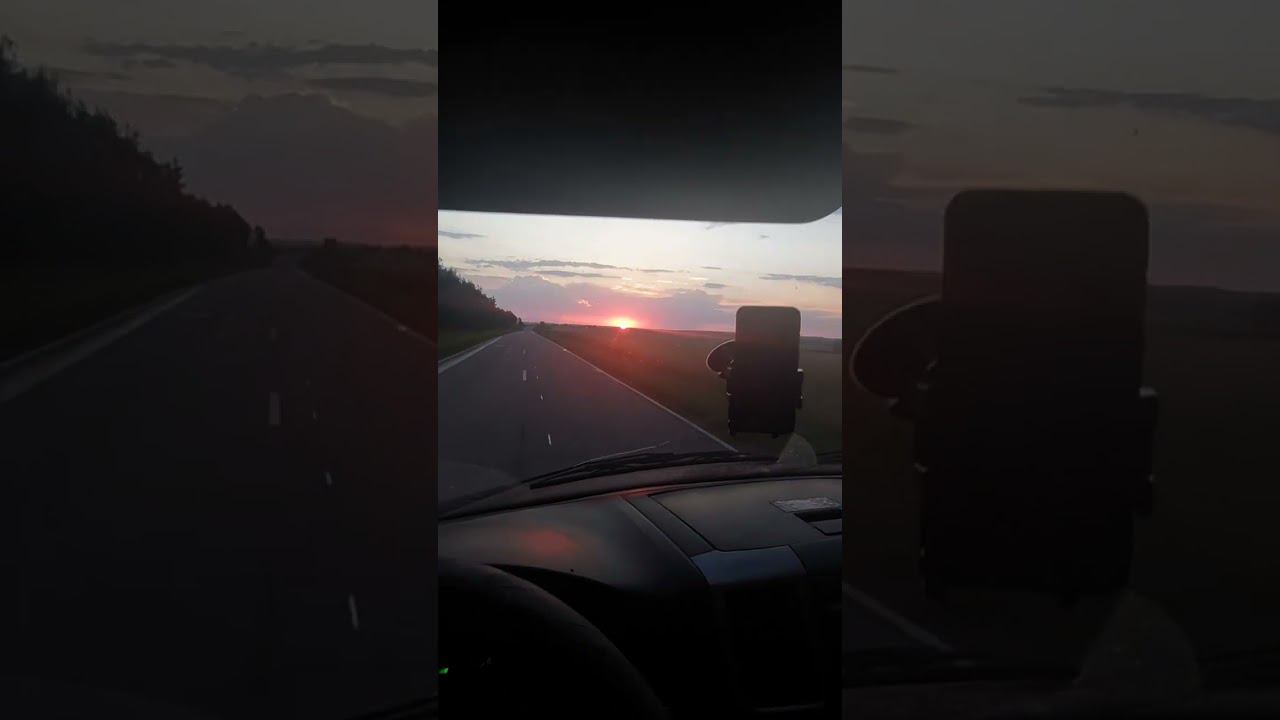 Живчики в Рязань. #shorts #рязань #работа смотреть онлайн