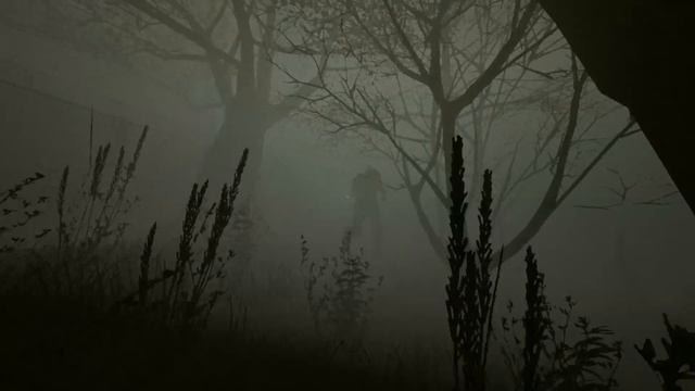 Куда исчезают ЗАСКРИПТОВАННЫЕ персонажи в Outlast: WHISTLEBLOWER? смотреть онлайн
