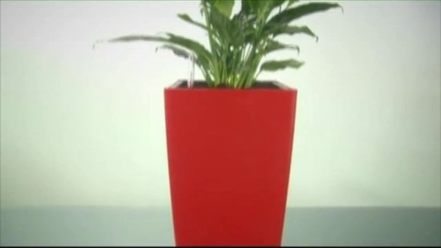 Умные кашпо с автополивом! Цветы не нужно поливать до 12 недель! смотреть онлайн