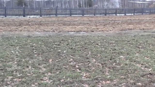 (10)Растаял снег. смотреть онлайн