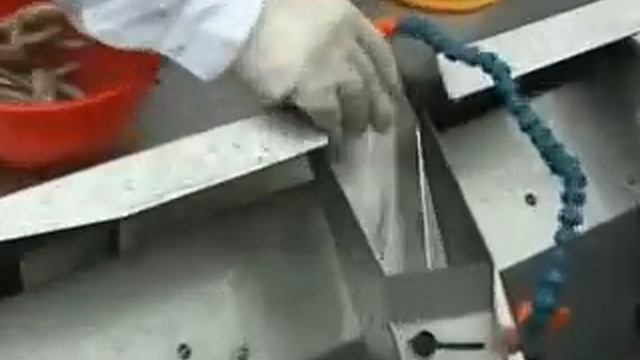 EASYVAC 3 & 5 gr fish in pitreño hatchery.wmv смотреть онлайн