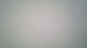 приора.вибрация двигателя.