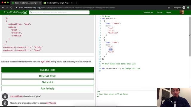 Accessing Nested Arrays - Free Code Camp смотреть онлайн