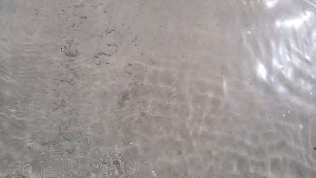 See Only Hd720 Дубай 2018 прозрачные черви-медузы в воде. Dubai Transparent Jelly Worms In The Wate