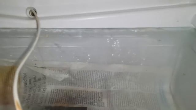 Чистка отверстия слива конденсата в холодильнике