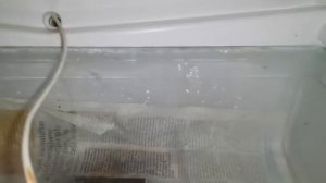 Чистка отверстия слива конденсата в холодильнике