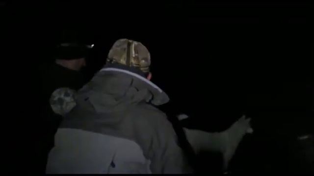 Таймень на мышь ночью смотреть онлайн